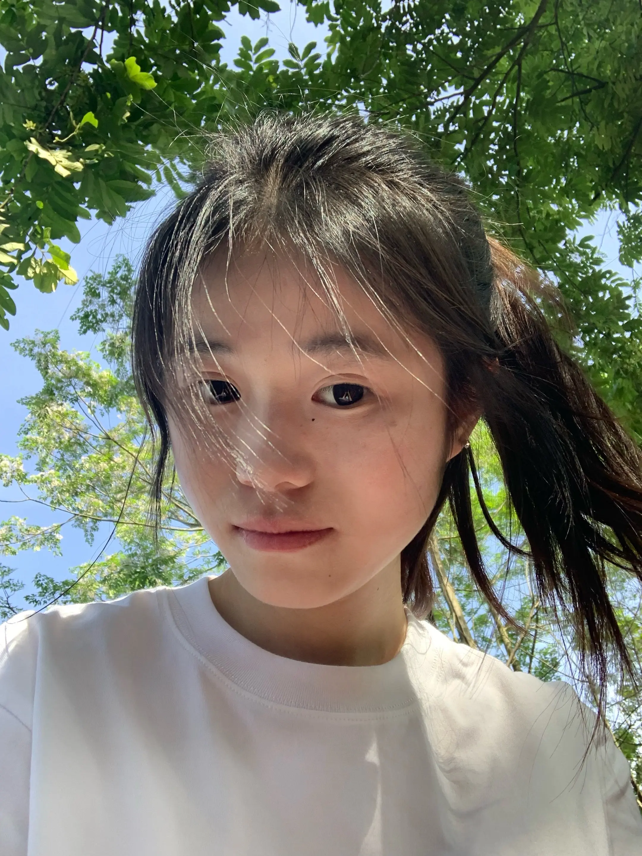 去抬头可以看见树叶和天空的地方。