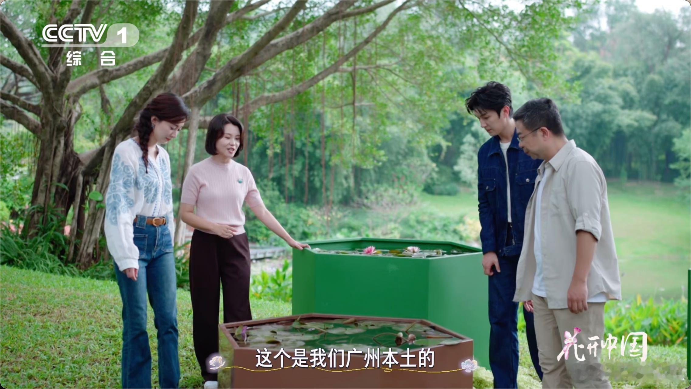 17岁少年在家种出冠军睡莲不怕冷也不怕热的花 给花友们划重点：“侦探艾丽卡”虽然