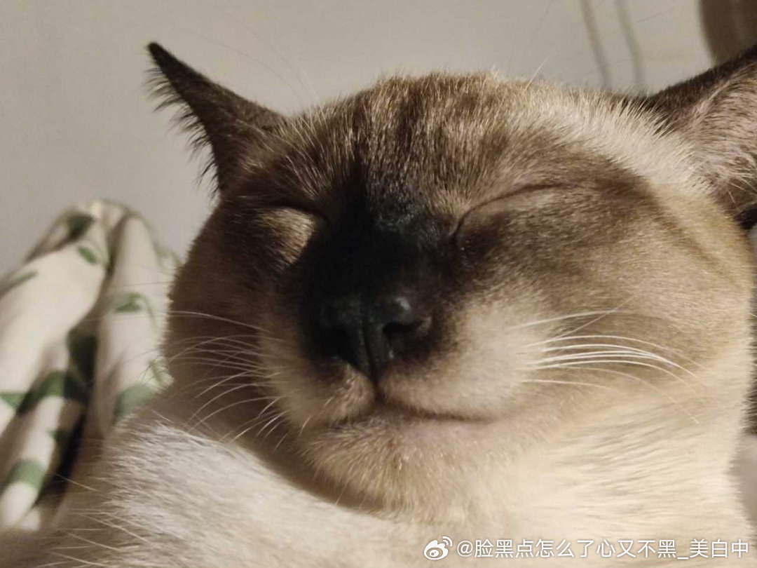 4055只黑脸逼皇帝时候 