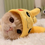 纳宝爱谈影视剧