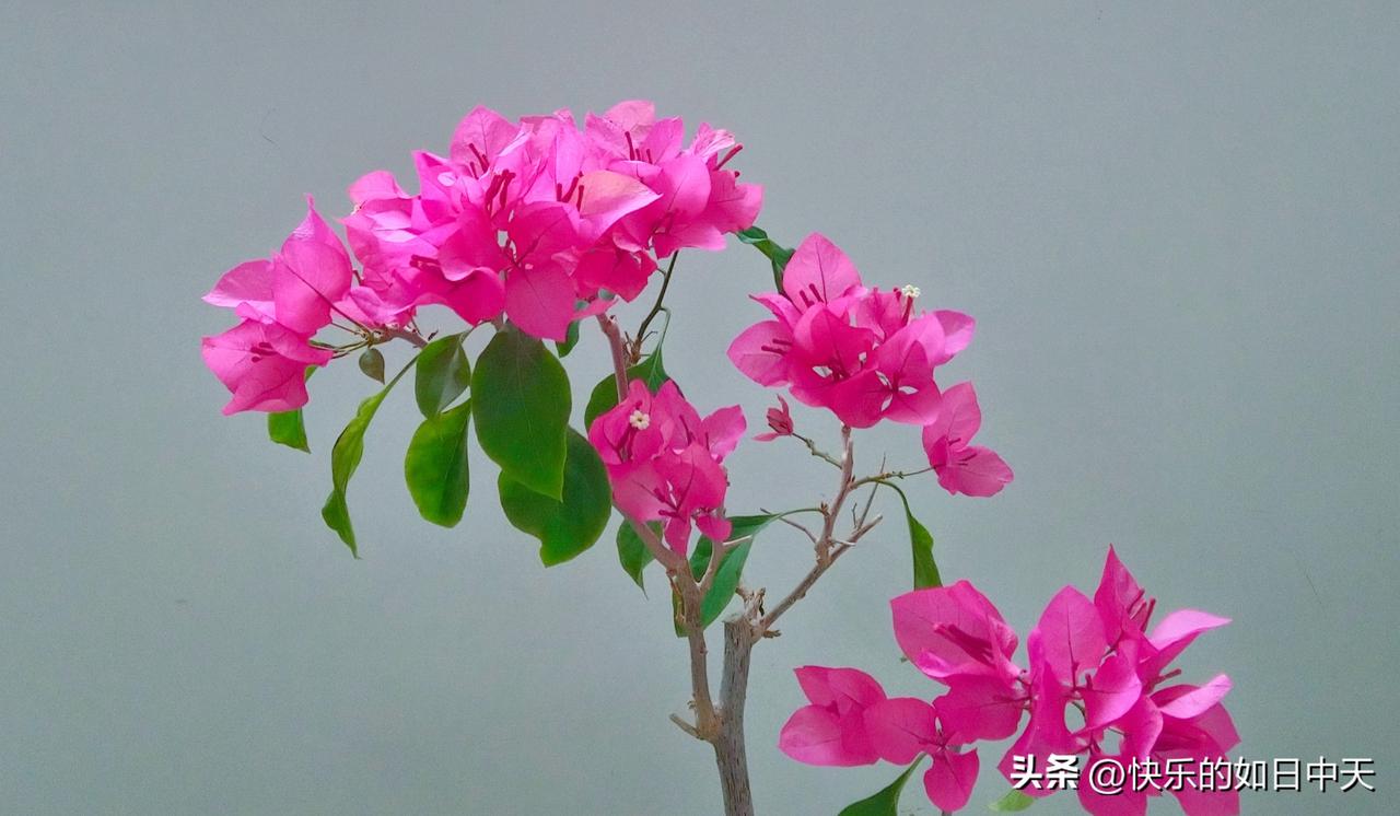 努力做一个“十养人”：
 
1、气色好→多吃红豆
2、睡眠好→多吃莲子
3、筋骨