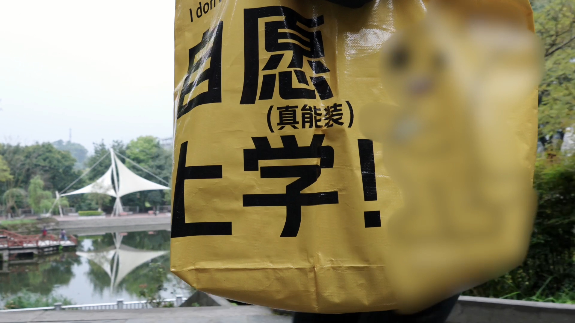 重庆大学生人手一个自愿上学的袋子你可以永远相信当代大学生的精神状态，看到他们人手