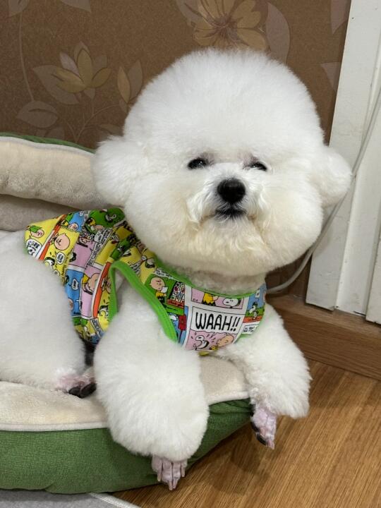 you konw i‘m watching you