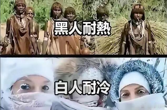 黑人耐热，白人耐冷，黄种人的我们耐？ ​​​