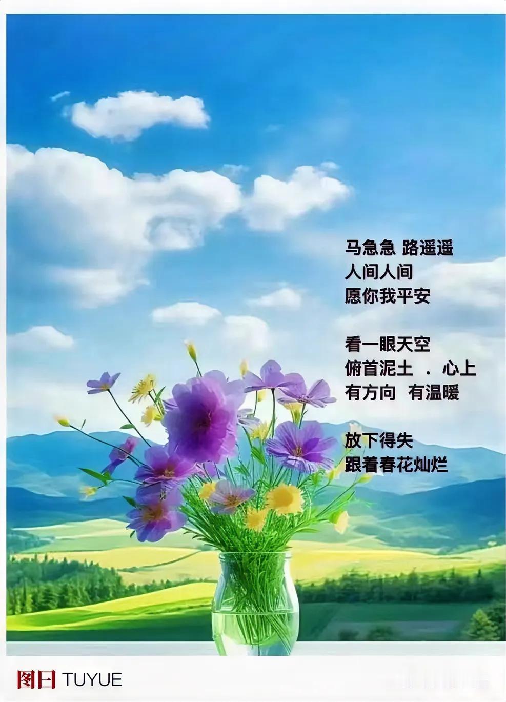 【春风过处  你我起舞】

·
穿过一场雪
借来梅花蕊间光芒
抵挡风寒
．
石头