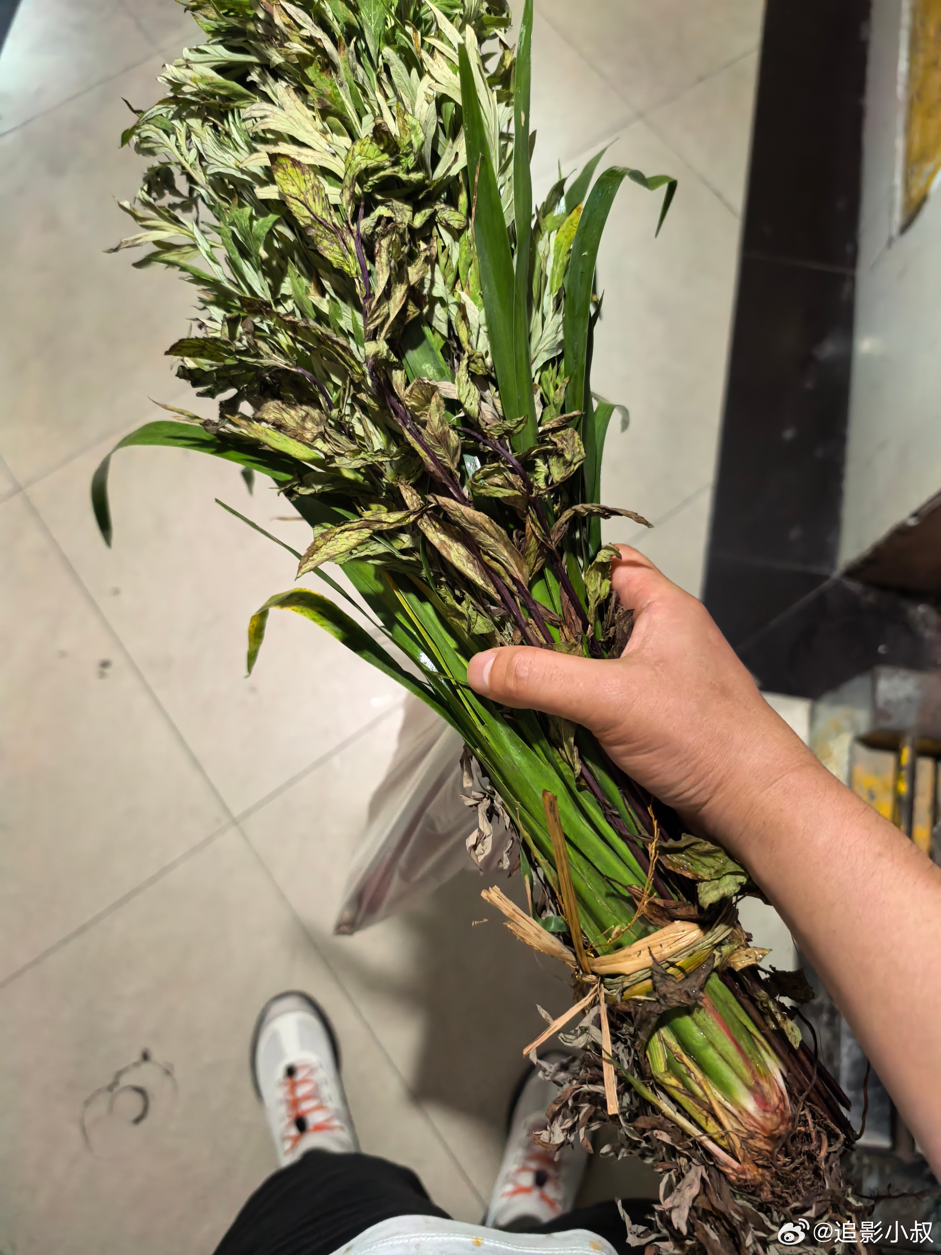 端午 早上跑步，买了一把这个草好香可以提神醒脑。  ​​​