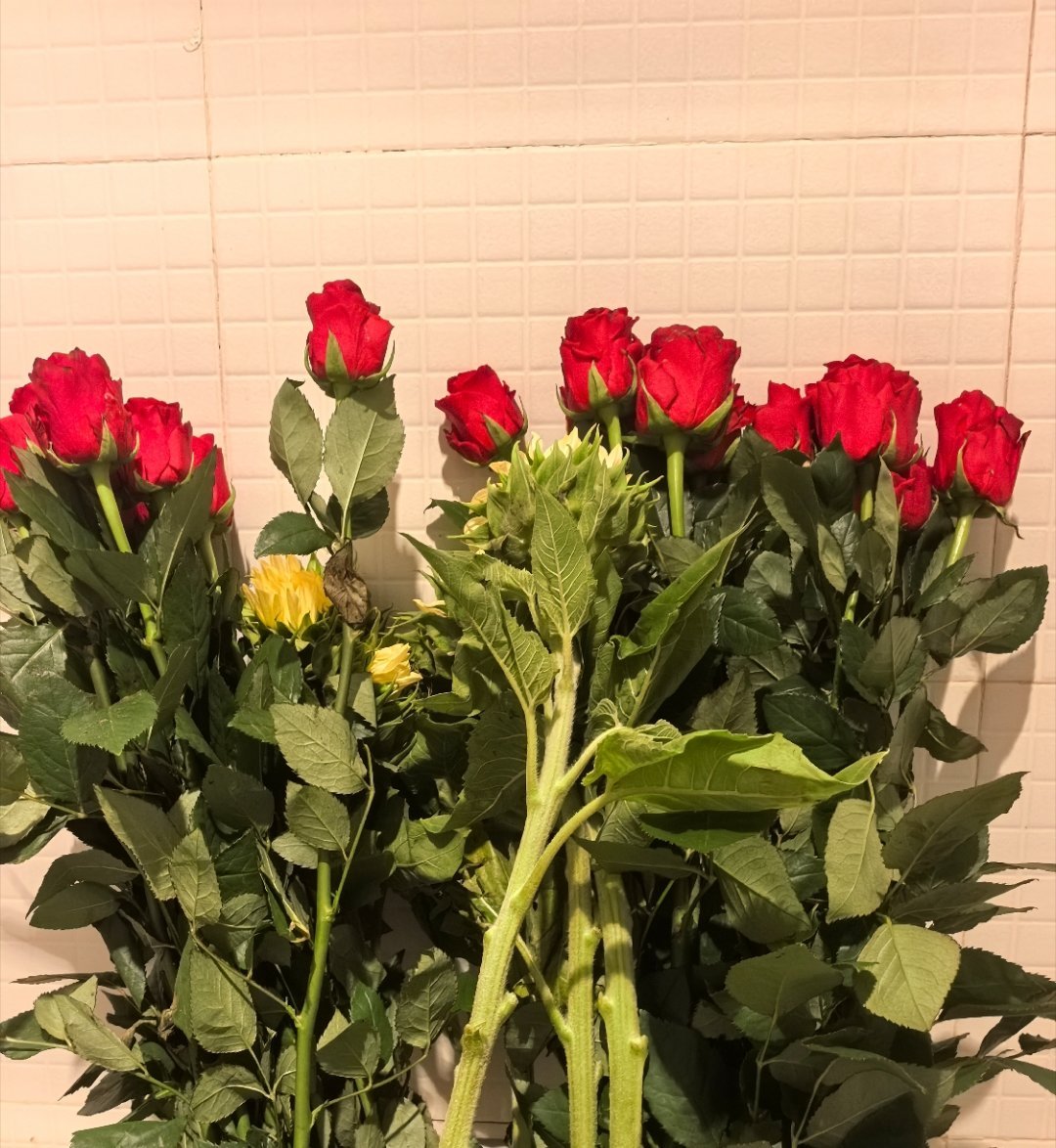 收到的鲜花，空运来的玫瑰和向日葵人不能没有鲜花 