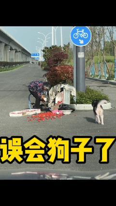 这狗神了！网友下班路上见到老奶奶车摔了，草莓全都掉地上，结果狗子还跑过去添乱，谁