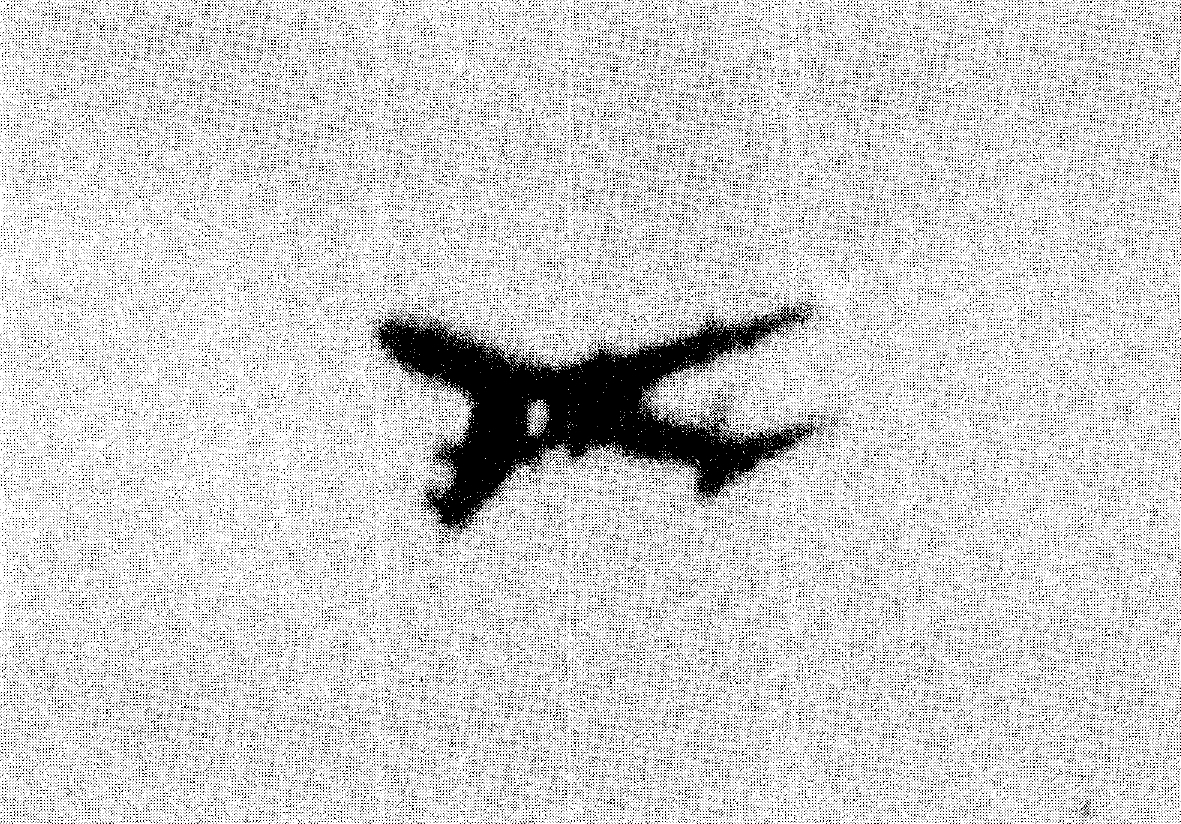 1985年8月12日，日本航空123航班在起飞12分钟后发生严重结构失效和爆炸性
