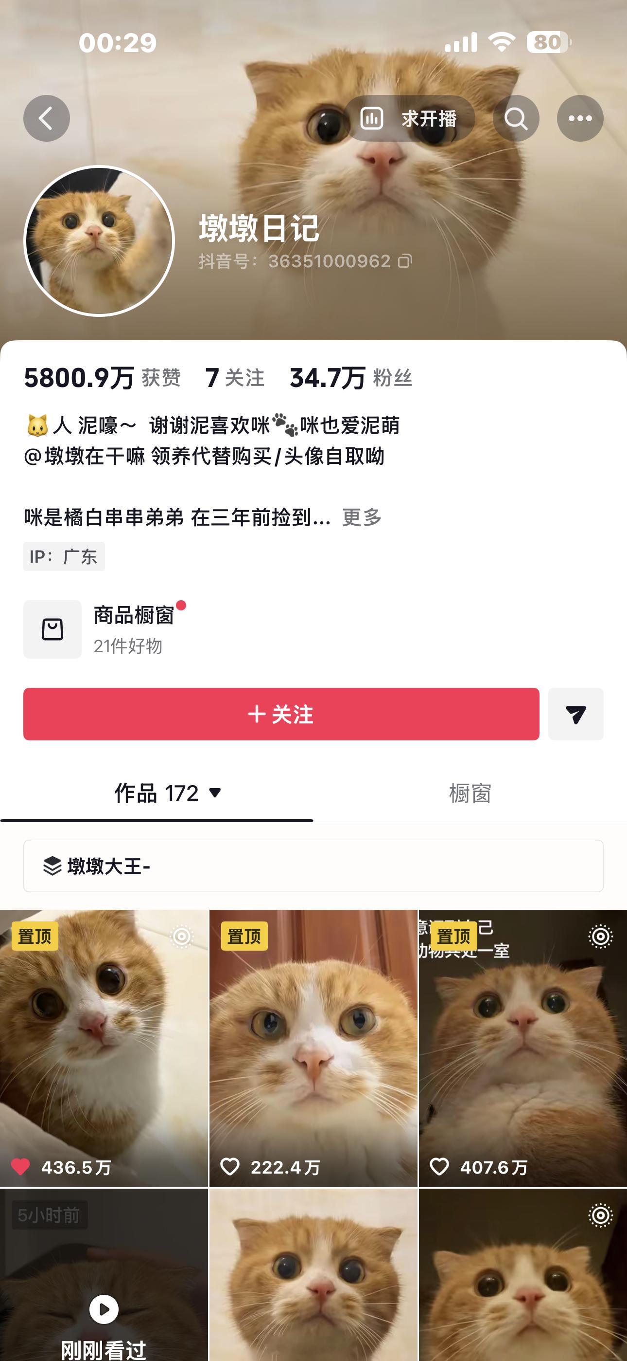 经常刷到的一只橘医疗事故去世了[苦涩][苦涩]真的是特别可爱的宝宝…这些无证兽医