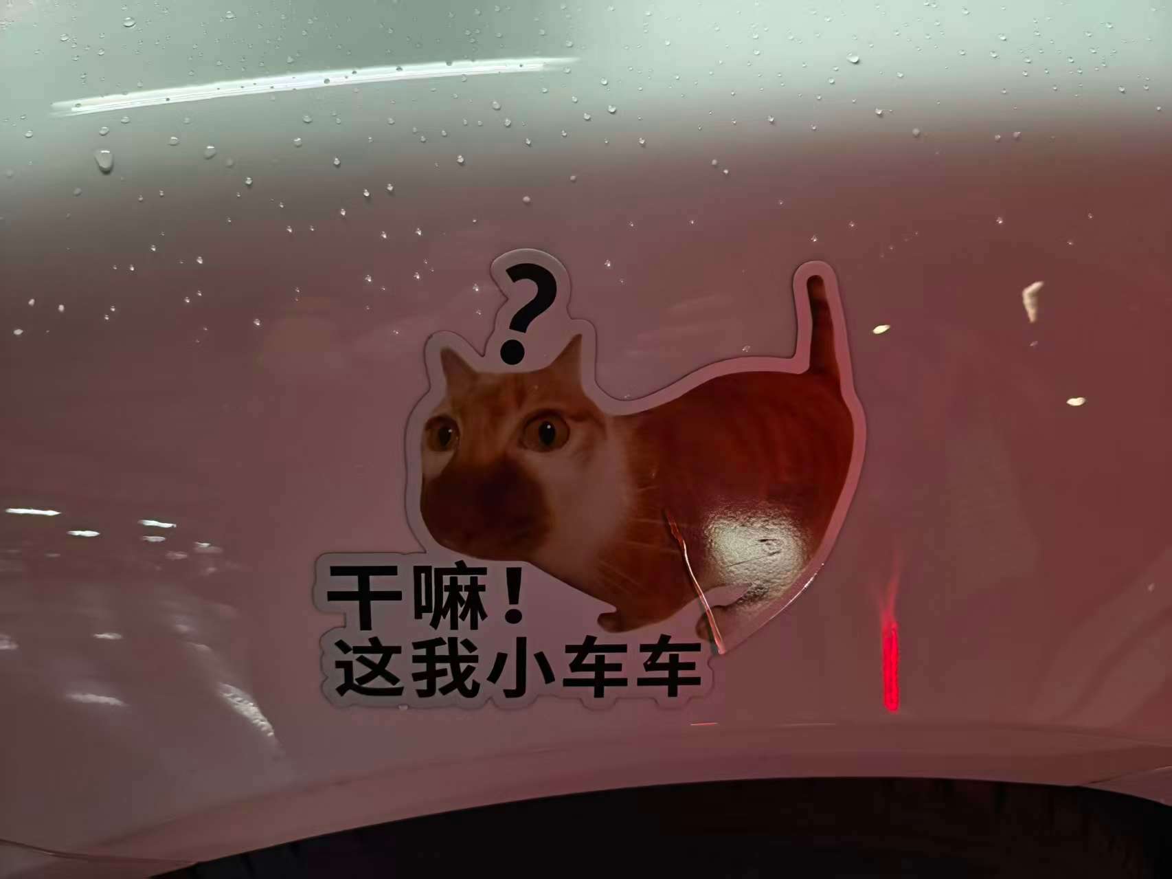 没错，是你的小车车
