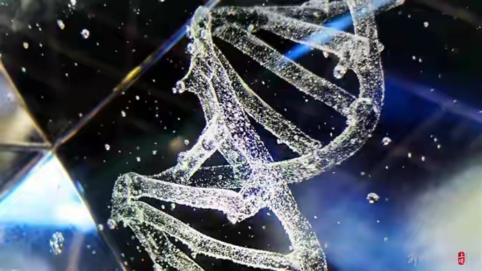 “唐尧”源自山西洪洞移民发源地的汉族样本，Y染色体分型覆盖全国多数地区，能精准区