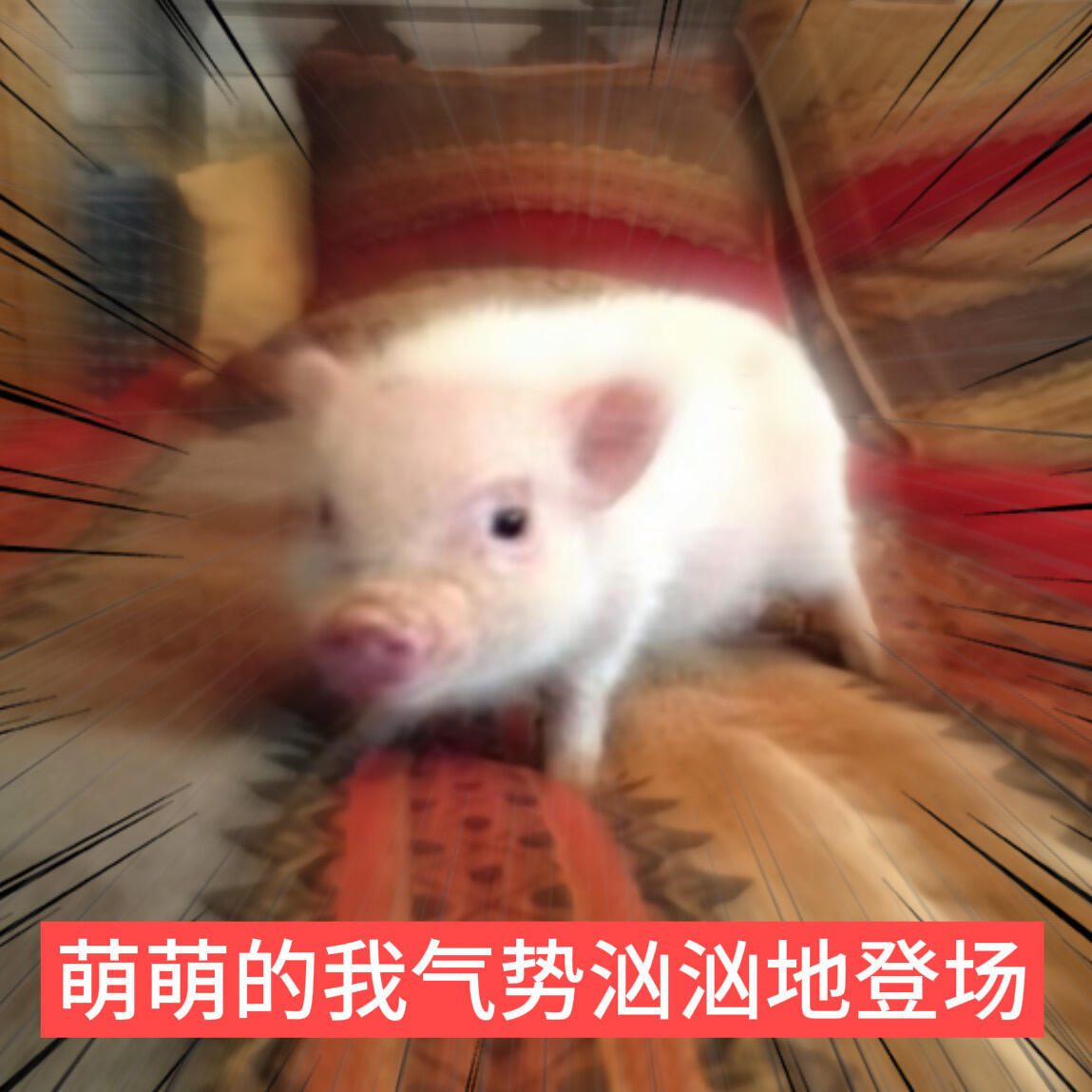 余华说朱一龙退出文城很及时朱一龙转头为千里江山图付出一切！ 