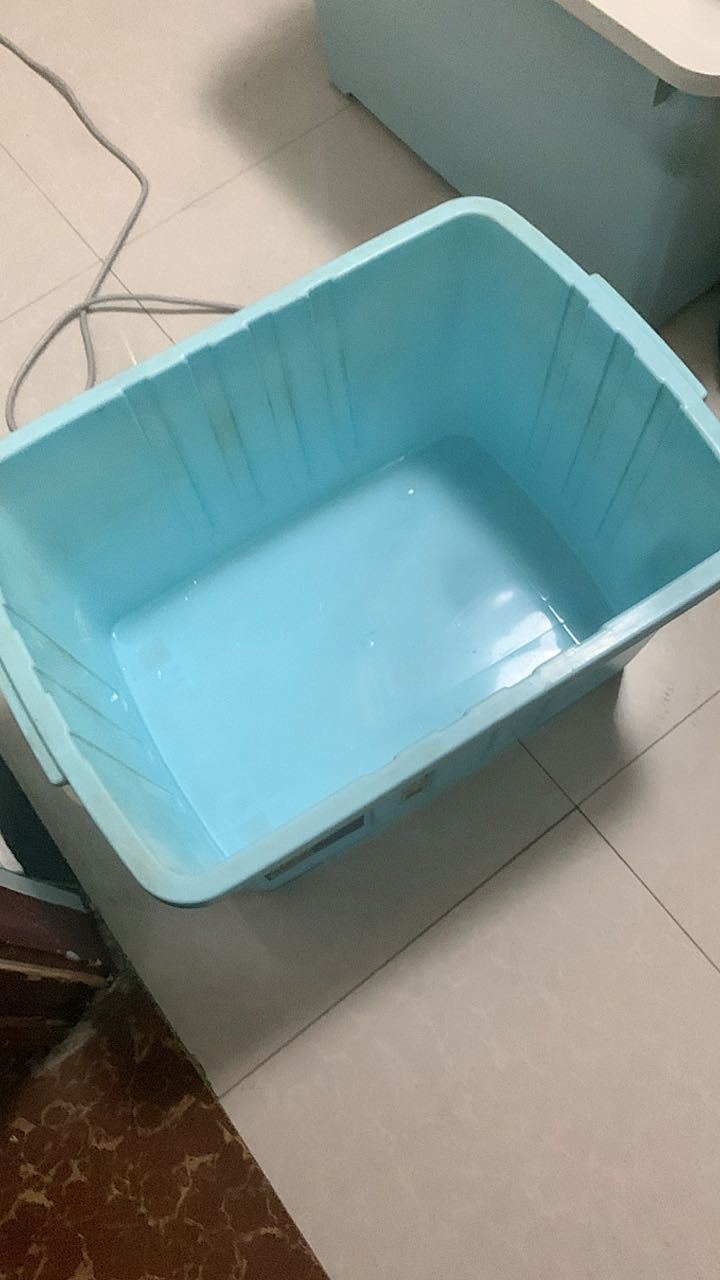 这种箱子养侏儒仓鼠就是三线之类的可以吗？ ​​​