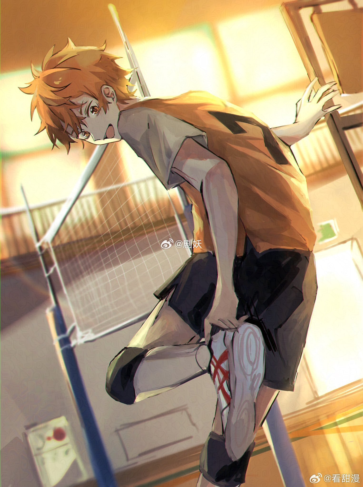排球少年高中二年级的日向日向翔阳x：Torture_ws  