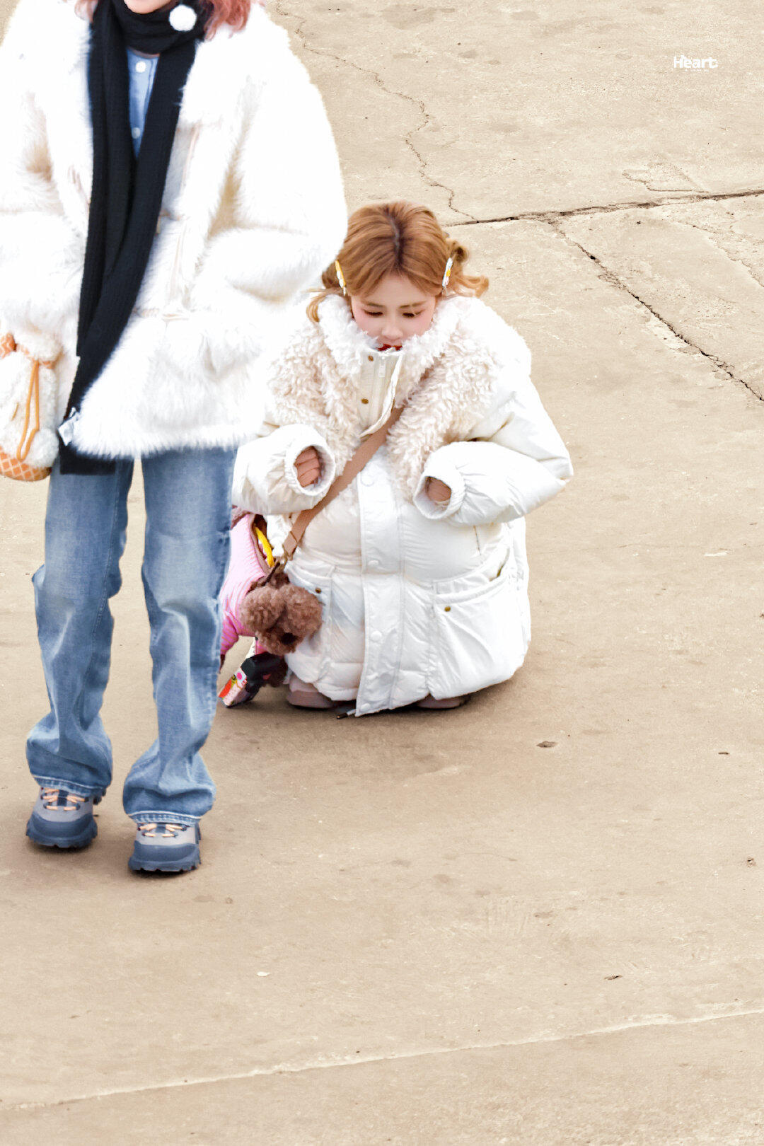 白鹿被冻成奶团子了😆 