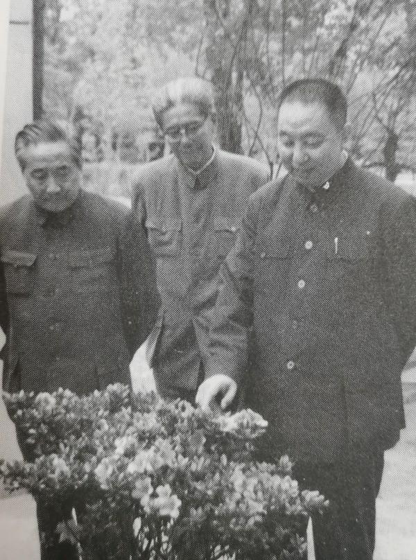 华国锋身后是谁？看着像乔冠华。