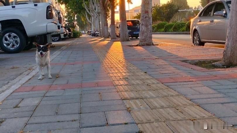 从哪里出发不重要，何时出发才重要！

感觉″撞衫″了薛定谔的减肥计划——纠结健身