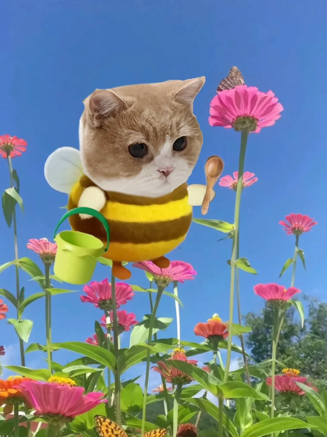 谁还不是一只勤劳小蜜蜂🐝