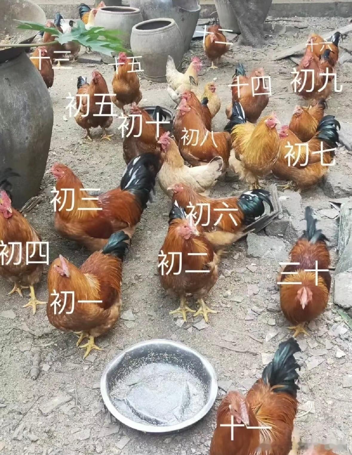 #当00后开始负责置办年货# 00后置办年货主打一个手边有啥安排啥，一分钟安排的
