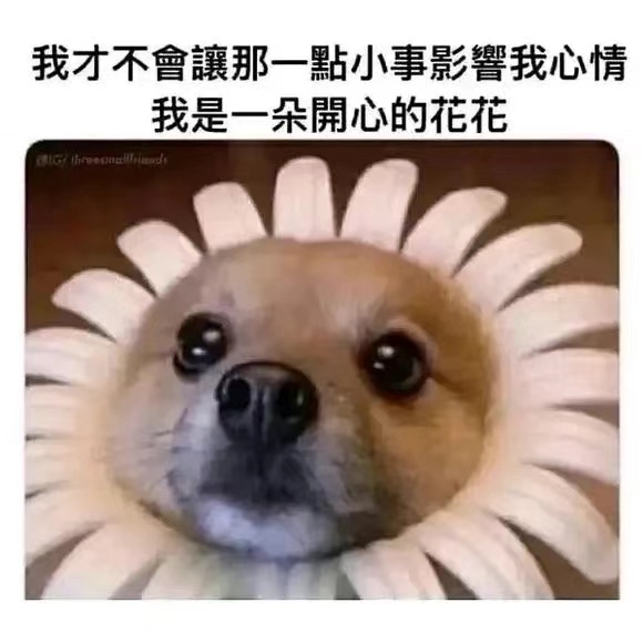 是的！我是！ ​​​