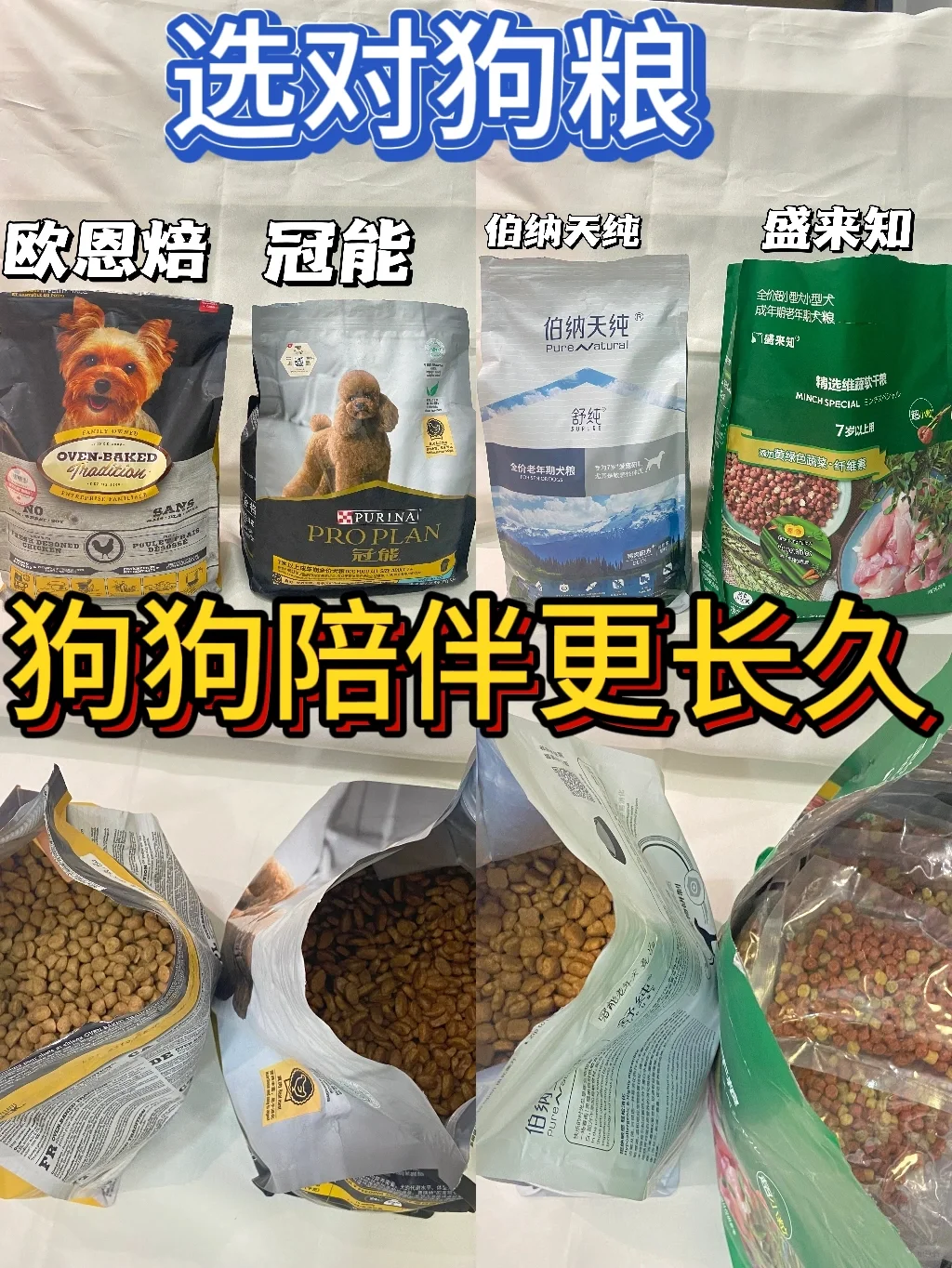 选对狗粮 真的可以更长寿