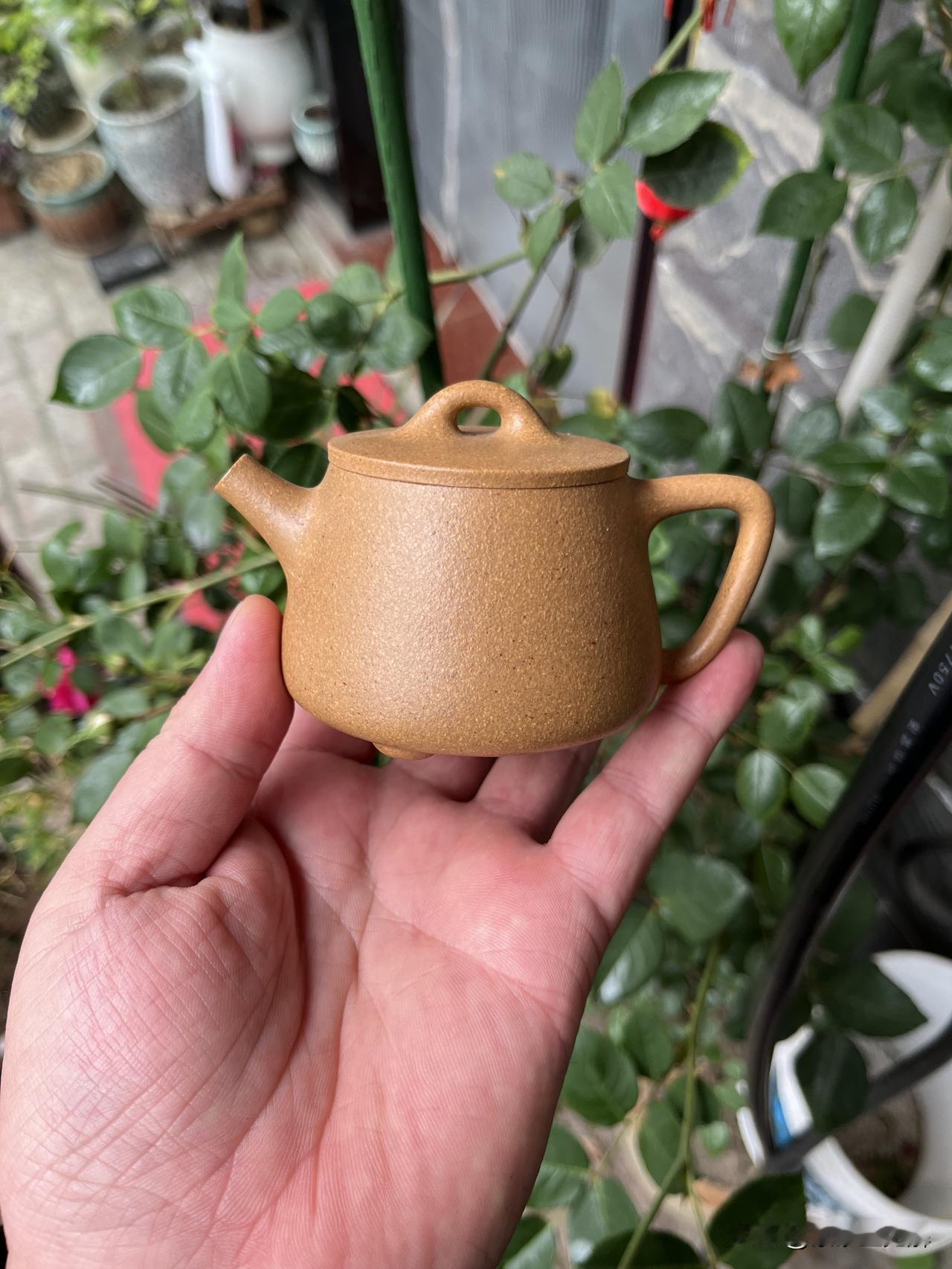 刚买的段泥壶变“花脸”？
玩壶的朋友，最怕听到的一句话就是：“你这壶怎么养花了？