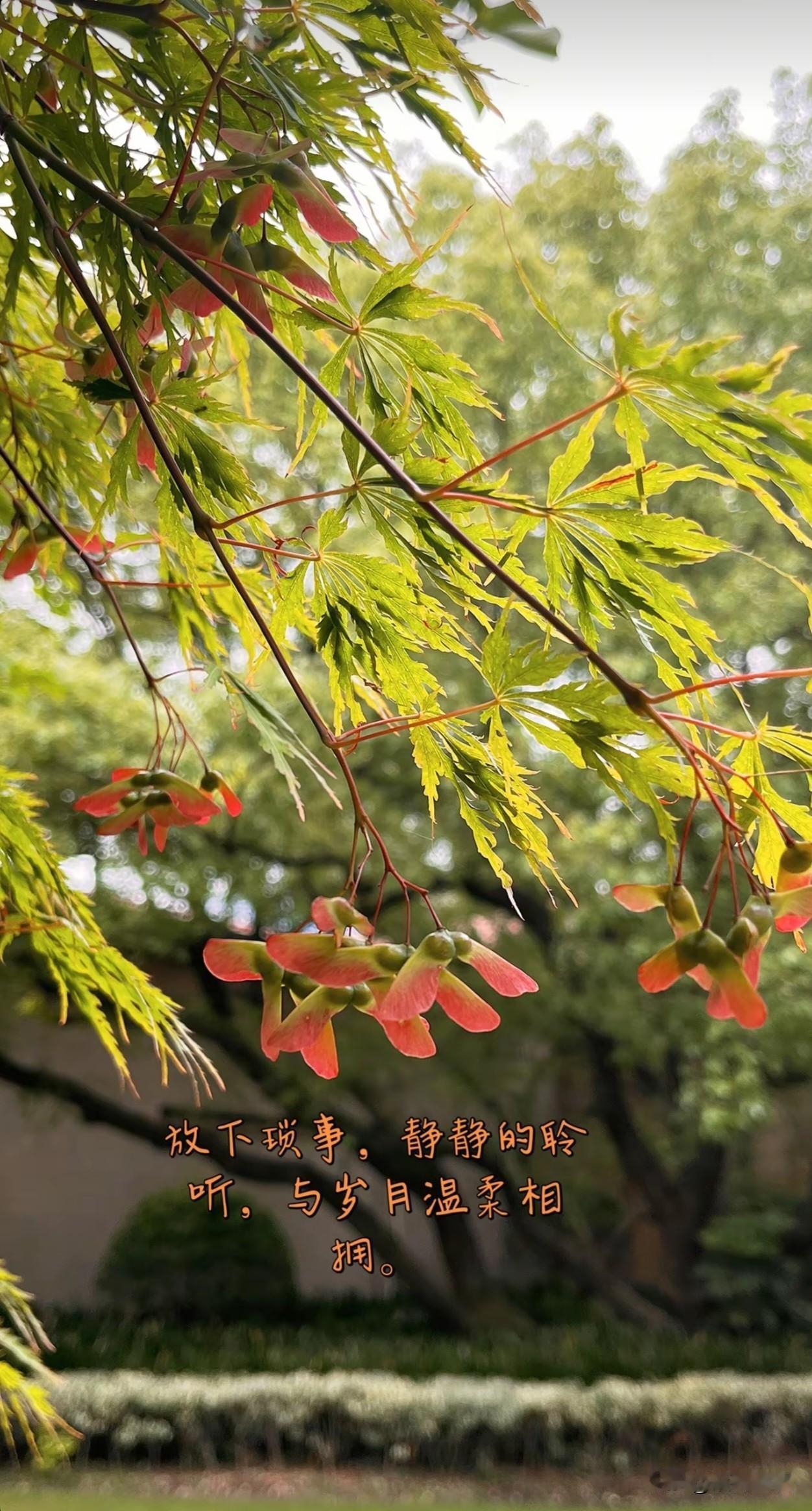 不谈从前不说如果，只希望越来越好。