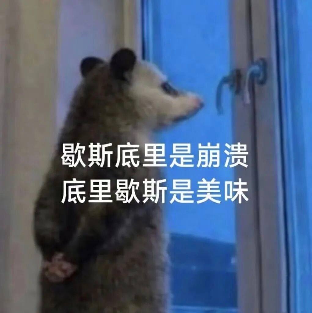 负鼠表情包 非常可爱的负鼠表情包，大家都还有哪些搞笑搞笑 表情包 鼠鼠我啊死到临