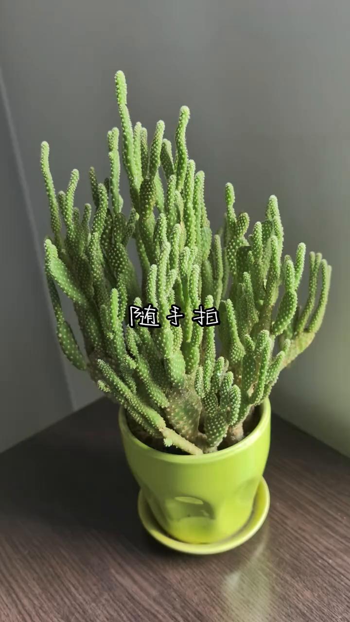 随手拍。