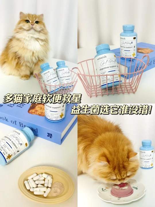 三🐱家庭丨猫咪软便克星，告别灾难现场！
