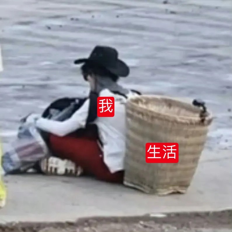 负重前行中苏新皓