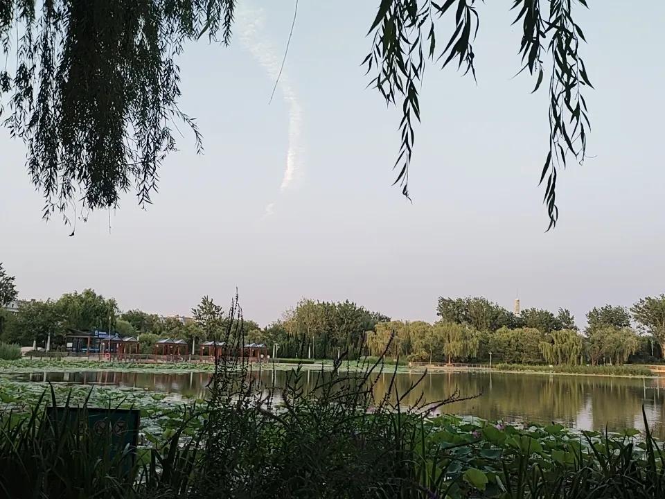 分享你随手拍得风景新滨新景