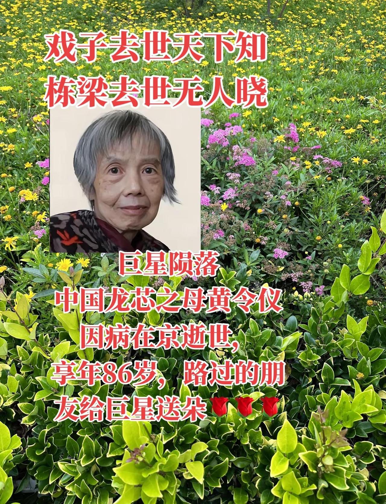 向祖国龙芯之母黄令仪致敬！感谢您为祖国为人民做出的贡献！正能量 黄令仪中国龙芯之