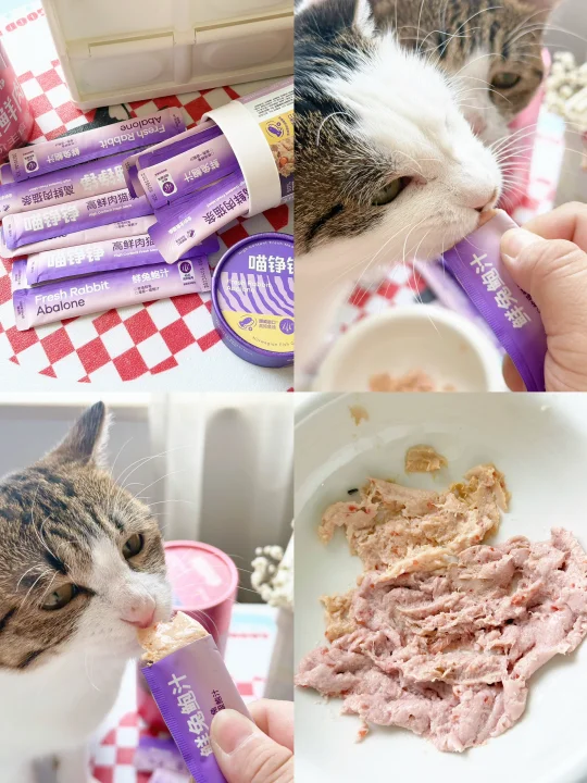 这猫条太好吃了呜呜😢