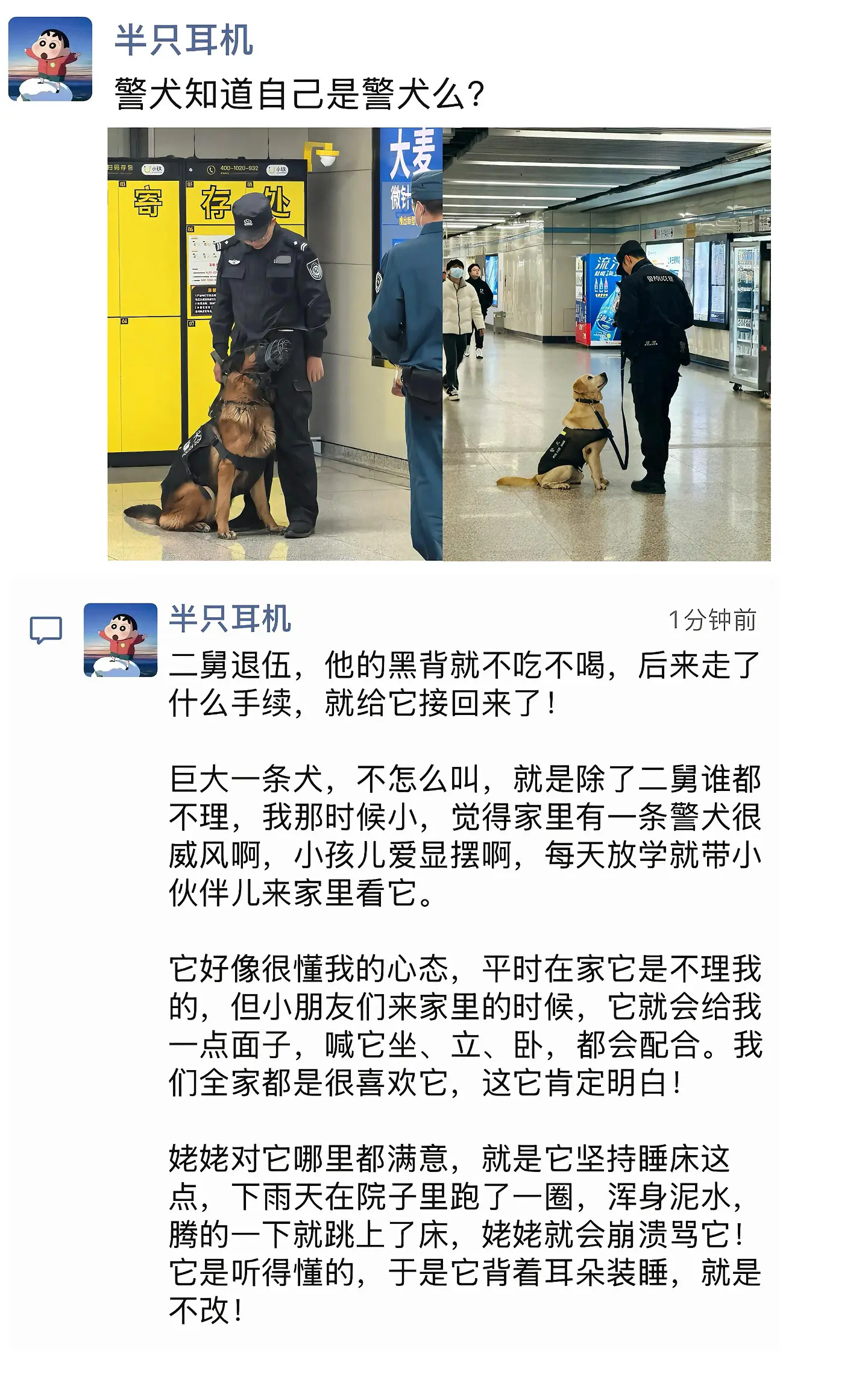 也听说过一个退役军犬被收养后抑郁寡 后来新主人和小区物业商量让他去门口...