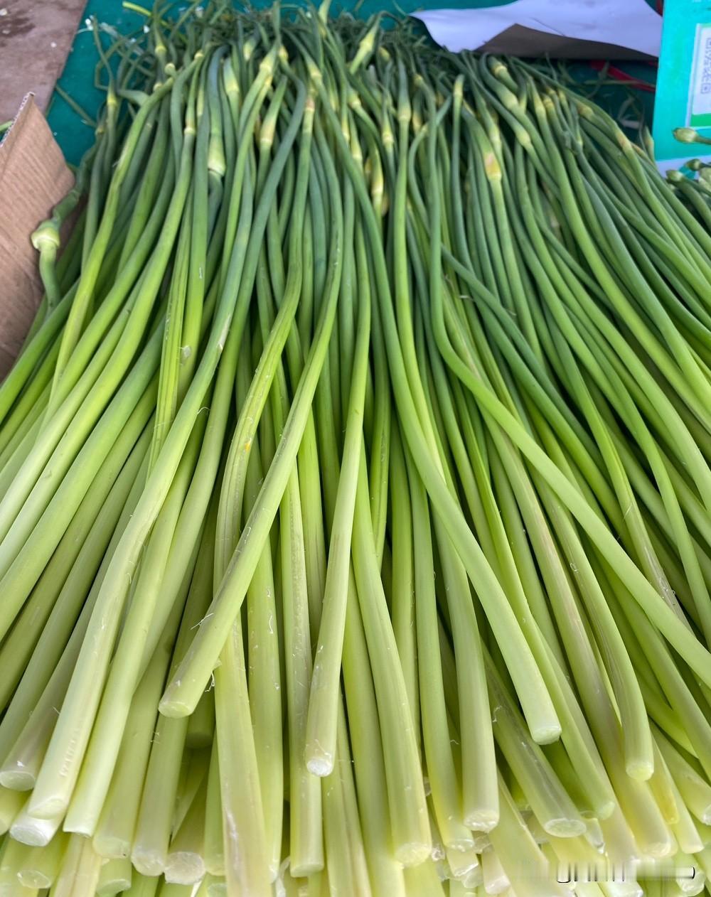 看看节日里的沈阳市场蔬菜价格：
蒜苔：7元
甘蓝：2元
青椒：3.5元

水黄瓜
