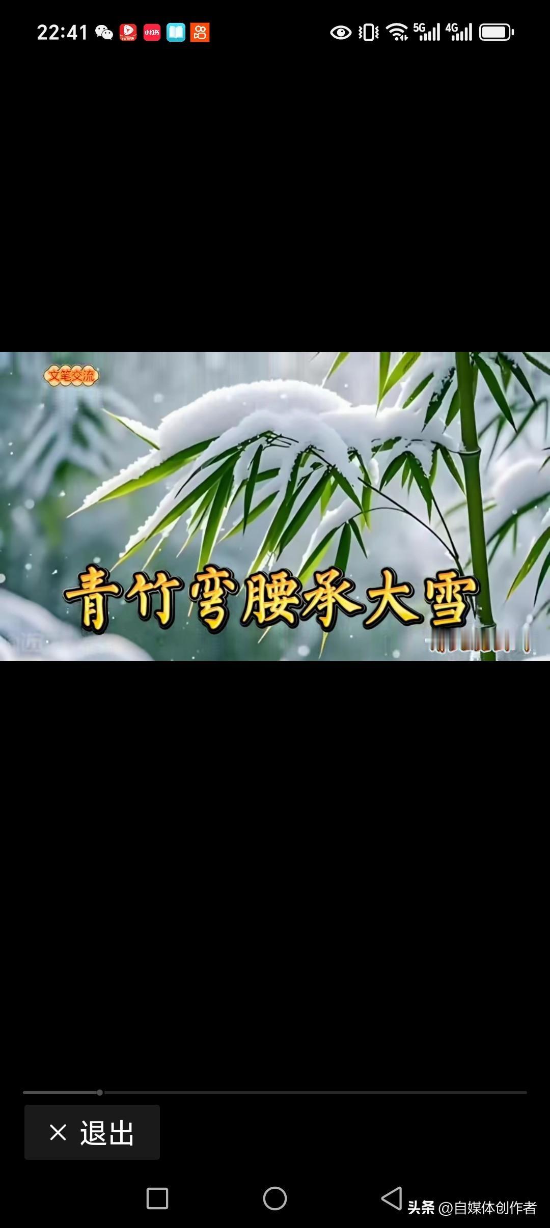 青竹弯腰承大雪
黄叶飒下继深根