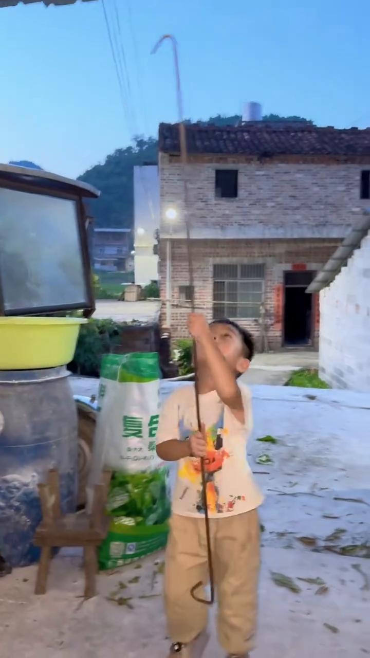 看见爷爷奶奶回来跑去开门，想帮忙又帮不上。