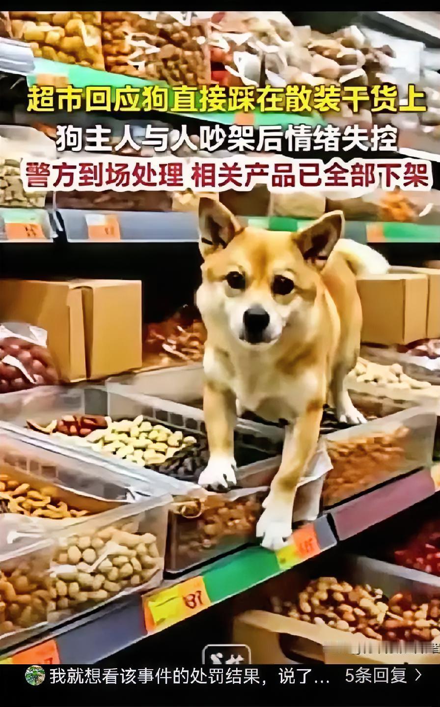 太气人！广州花臂女超市撒泼，将小狗放到散装干货上，店员好心提醒反被扇耳光，男友全