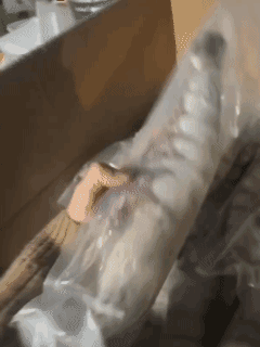 要是虾能像猪一样大就好了