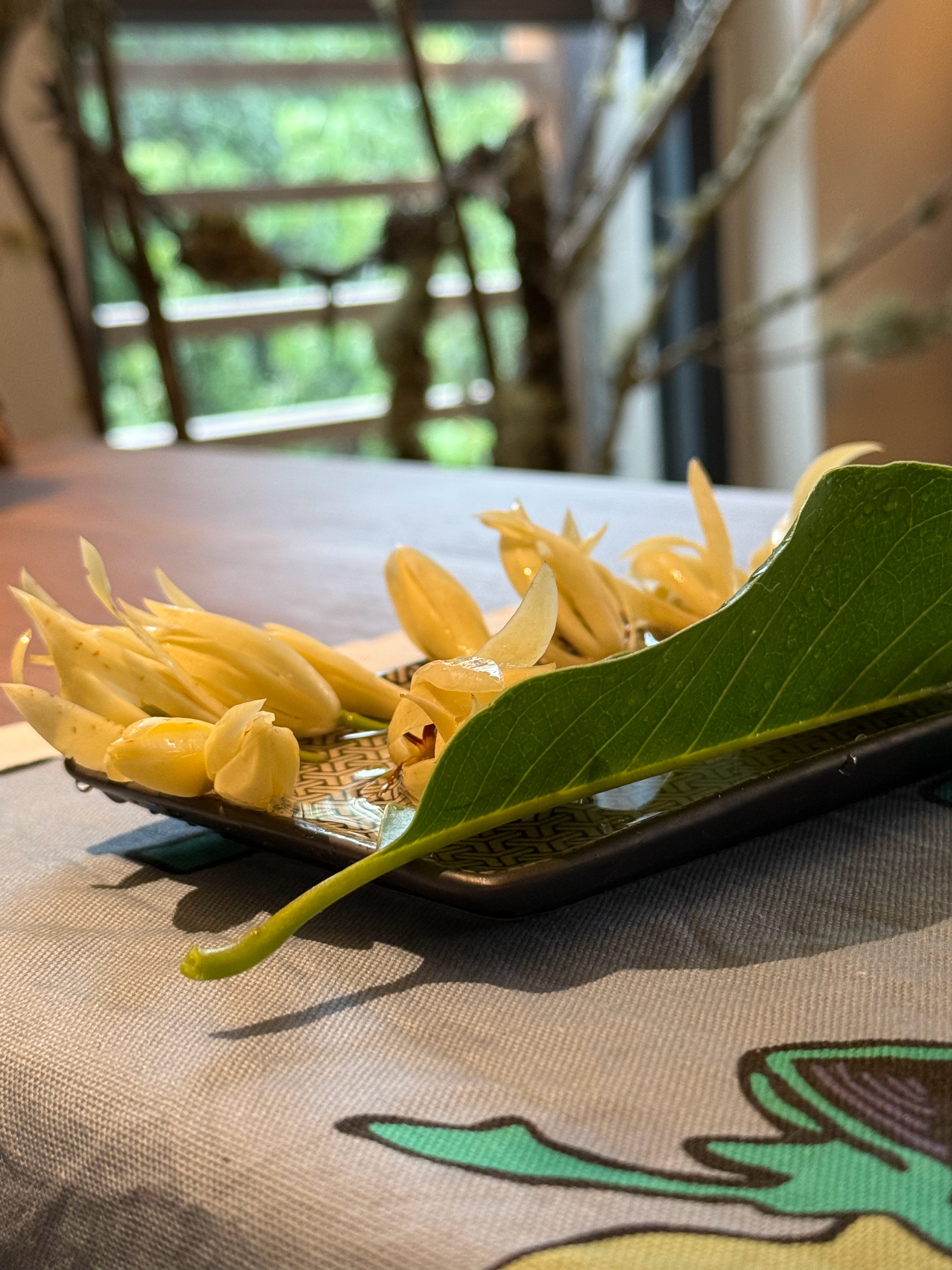雨中摘花更不算偷了吧🌧️ 