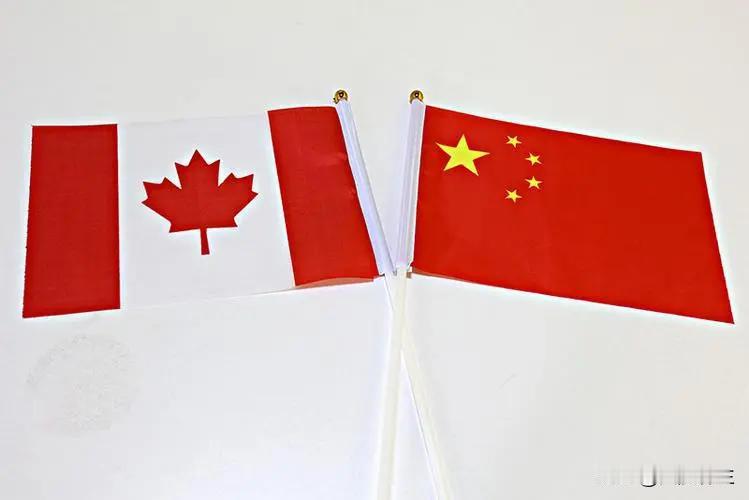 王毅应约同加拿大外长乔利通话：两国无历史纠葛，也不存在现实利益冲突，可互补优势
