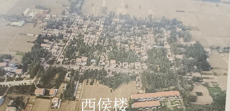 盘点鄄城县凤凰镇西侯楼行政村各自然村村史

西侯楼行政村辖西侯楼、边庄、水坑杨、