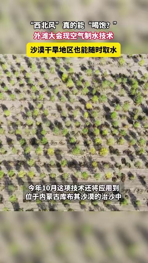笑不活了！原来西北风真的能喝饱，看似搞笑的一句话，藏着打工人苦中寻乐的日常。日子