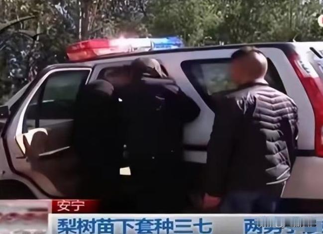 “给条活路吧！”云南昆明，一男子掏空家底承包160余亩林地，栽种梨树，两年后男子