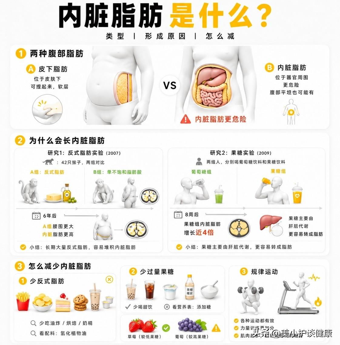 认识内脏脂肪，呵护身体健康
腹部脂肪可分为皮下脂肪和内脏脂肪。皮下脂肪位于皮肤下