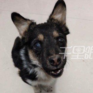 河南周口的李先生最近碰上了一件让他后怕到不行的事，这事也给咱们所有人都提了个醒。