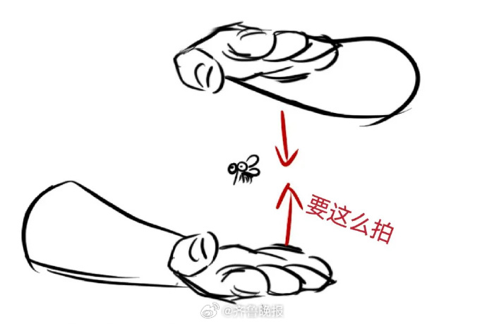 #日常实用大全#【#你打蚊子的方式是错的#！下次打蚊子试试上下夹击】你有没有发现