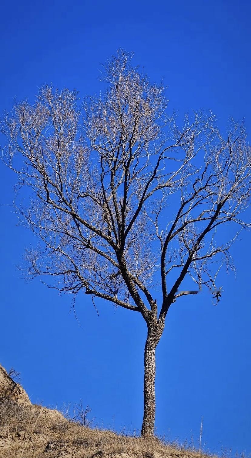 很多以前游手好闲，眼高手低的人干自媒体都赚到钱了，旁边比他强一点的人肯定眼红，所
